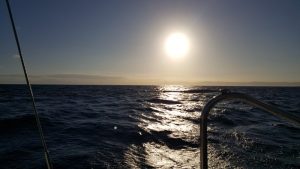 Passing Wollongong